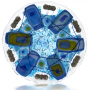 Passover Plate Glass Fusion in Blue and Aqua by Fire Glass Studio